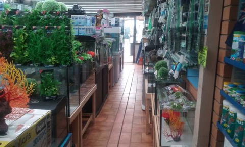 Summerland Aquarium - Attractions Brisbane 4