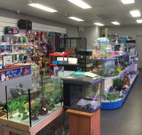 Nambour Pet Shop - Attractions Brisbane