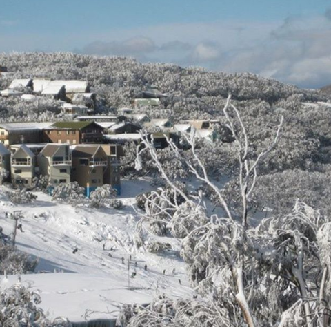 Down Under Thrills - Attractions Brisbane 2