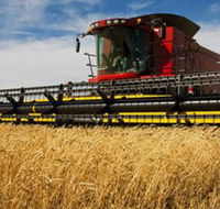 Quirindi Grain and produce - Attractions Brisbane