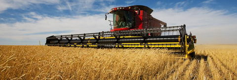 Quirindi Grain And Produce - Attractions Brisbane 0