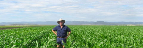 Quirindi Grain And Produce - Attractions Brisbane 1