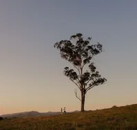 Faulls Ridge Winery - Attractions Brisbane