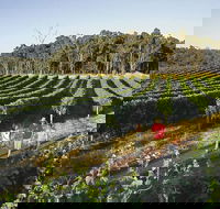 Margaret River Caves Wine and Cape Leeuwin Lighthouse Tour from Perth - Attractions Brisbane