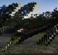 Stargazing Busselton with Mobile Observatory - Attractions Brisbane