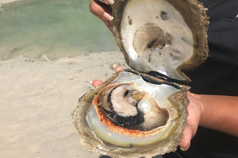 Willie Creek Pearl Farm Tour From Broome - Attractions Brisbane 6