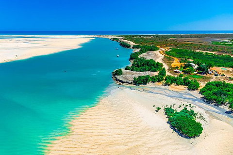 Willie Creek Pearl Farm Tour From Broome - Attractions Brisbane 2