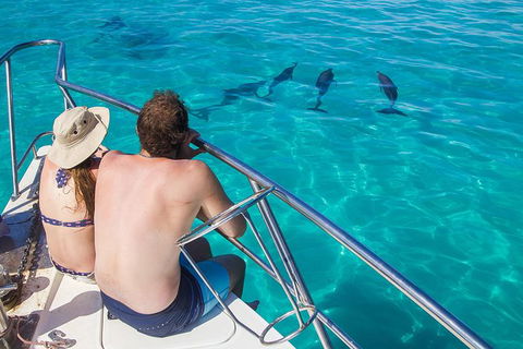Turtle Eco Adventure Tour In Exmouth - Attractions Brisbane 1