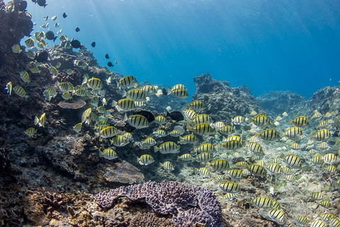 Turtle Eco Adventure Tour In Exmouth - Attractions Brisbane 4