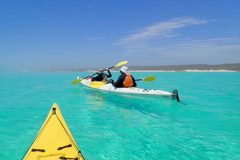 Lagoon Explorer - Ningaloo Reef Full-Day Kayaking And Snorkeling Adventure - Attractions Brisbane 7