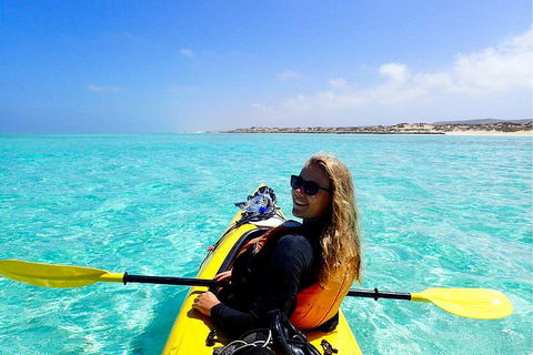 Lagoon Explorer - Ningaloo Reef Full-Day Kayaking And Snorkeling Adventure - Attractions Brisbane 2