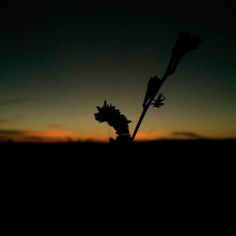 Windjana Gorge And Tunnel Creek 4WD Tour From Broome - Attractions Brisbane 7