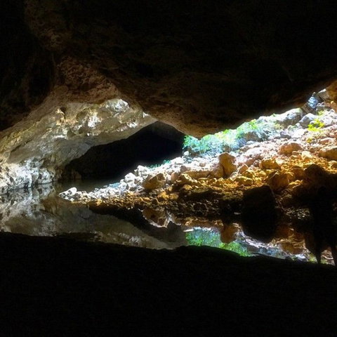 Windjana Gorge And Tunnel Creek 4WD Tour From Broome - Attractions Brisbane 8