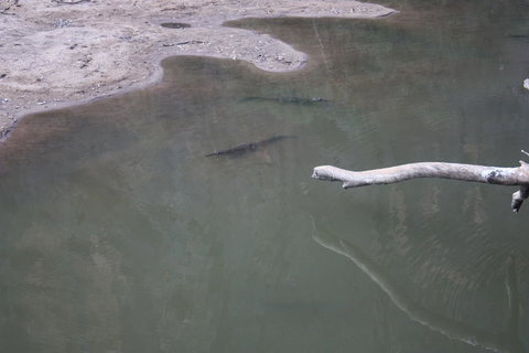 Windjana Gorge And Tunnel Creek 4WD Tour From Broome - Attractions Brisbane 3