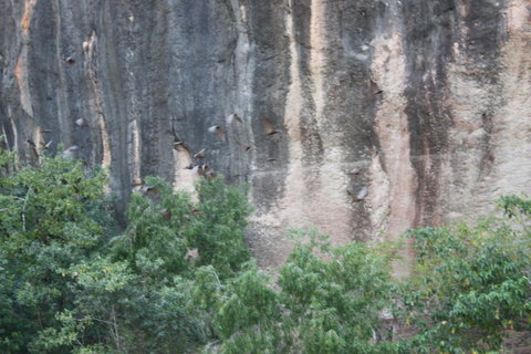 Windjana Gorge And Tunnel Creek 4WD Tour From Broome - Attractions Brisbane 2