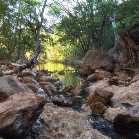 Windjana Gorge And Tunnel Creek 4WD Tour From Broome - Attractions Brisbane 9