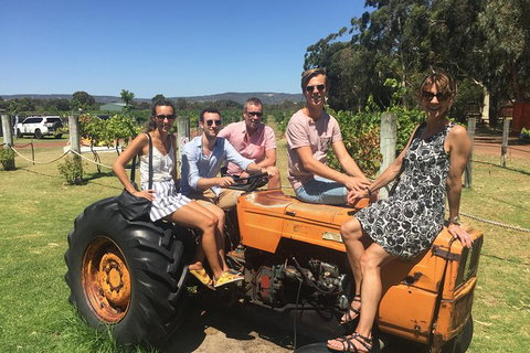 Half Day Swan Valley Wine Tour - Attractions Brisbane 6