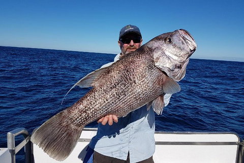 Deep Sea Fishing Charter From Perth - Attractions Brisbane 1