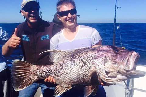 Deep Sea Fishing Charter From Perth - Attractions Brisbane 0