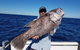 Deep Sea Fishing Charter From Perth - thumb 2