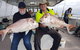 Deep Sea Fishing Charter From Perth - thumb 5