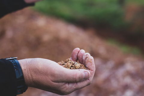 Vasse Felix Epicurean Tour And Tasting Experience With 5 Course Lunch - Attractions Brisbane 8