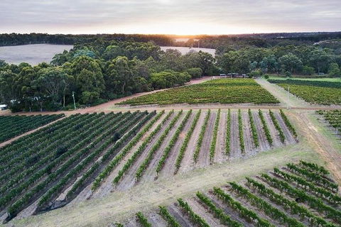 Vasse Felix Epicurean Tour And Tasting Experience With 5 Course Lunch - Attractions Brisbane 7