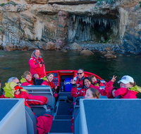 Dunsborough Jet Boat Sea Safari Along Cape Naturaliste Coast - Attractions Brisbane