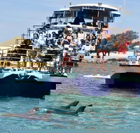 Mandurah Dolphin and Scenic Marine Cruise - Attractions Brisbane