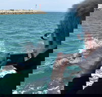 Mandurah Dolphin Island Adventure - Attractions Brisbane