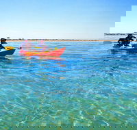 Turtle Tour - Ningaloo Reef Half Day Sea Kayak and Snorkel Tour - Attractions Brisbane