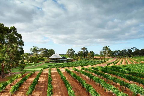 Vasse Felix Winery Tour And Tasting - Attractions Brisbane 2