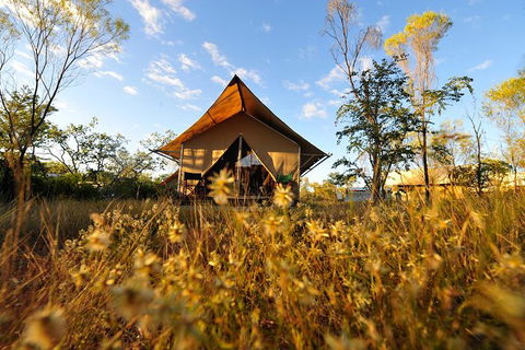 APT Kimberley Wilderness Adventures Purnululu (Bungle Bungle) 4WD Experience - Attractions Brisbane 10
