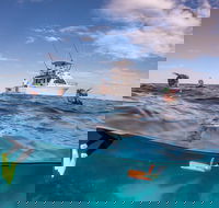 Exclusive Ningaloo Adventure Charter from Exmouth - Attractions Brisbane