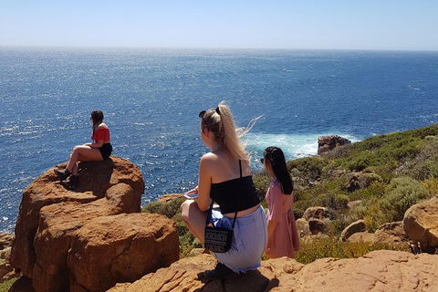 7 Hour Full Day Tour: Morning Tea, Chocolate, Olives, 3 Wineries & Lunch - Attractions Brisbane 11