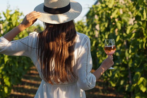 7 Hour Full Day Tour: Morning Tea, Chocolate, Olives, 3 Wineries & Lunch - Attractions Brisbane 2