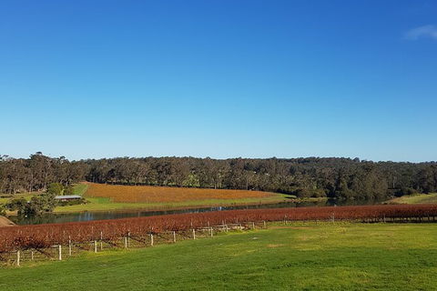 7 Hour Full Day Tour: Morning Tea, Chocolate, Olives, 3 Wineries & Lunch - Attractions Brisbane 7