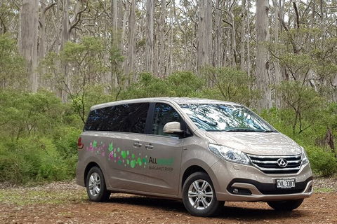 7 Hour Full Day Tour: Morning Tea, Chocolate, Olives, 3 Wineries & Lunch - Attractions Brisbane 6