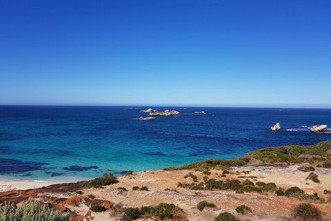 7 Hour Full Day Tour: Morning Tea, Chocolate, Olives, 3 Wineries & Lunch - Attractions Brisbane 10