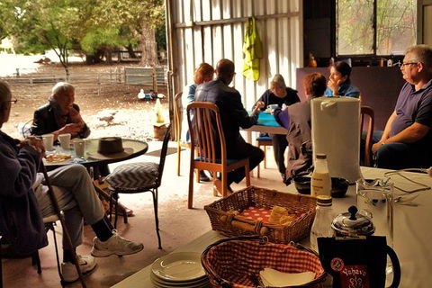 7 Hour Full Day Tour: Morning Tea, Chocolate, Olives, 3 Wineries & Lunch - Attractions Brisbane 13