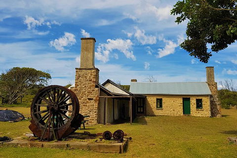7 Hour Full Day Tour: Morning Tea, Chocolate, Olives, 3 Wineries & Lunch - Attractions Brisbane 4