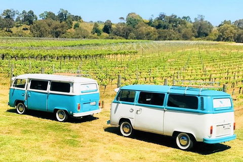 VW Kombi Wine Tour In The Swan Valley - Attractions Brisbane 6