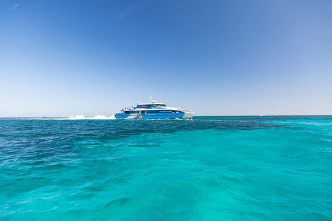 Rottnest Island Settlement Explorer Segway Package From Fremantle - Attractions Brisbane 0