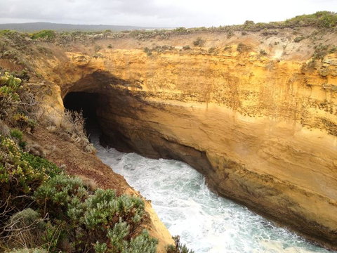 Private Tour: Great Ocean Road From Melbourne - Attractions Brisbane 3