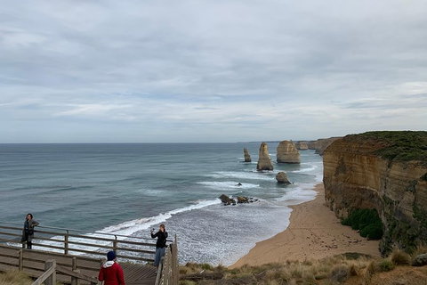 Private Tour: Great Ocean Road From Melbourne - Attractions Brisbane 16