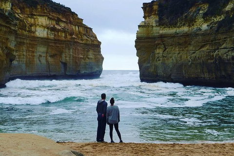 Great Ocean Road Small-Group Ecotour From Melbourne - Attractions Brisbane 1