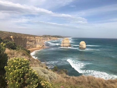 Great Ocean Road Small-Group Ecotour From Melbourne - Attractions Brisbane 16