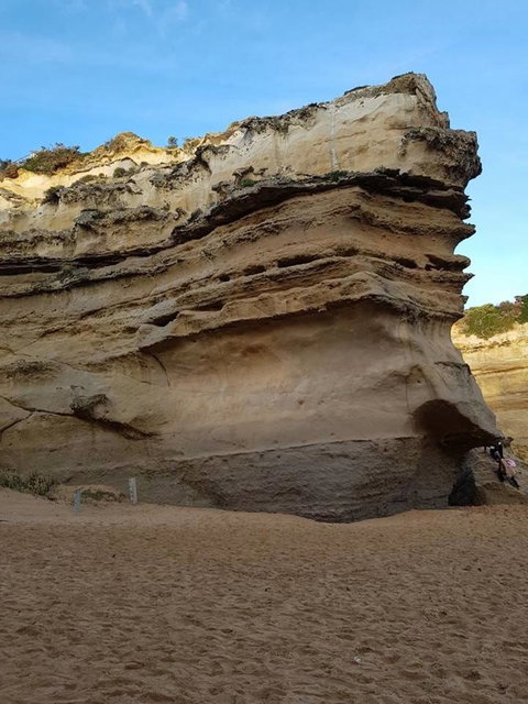 Great Ocean Road Small-Group Ecotour From Melbourne - Attractions Brisbane 10