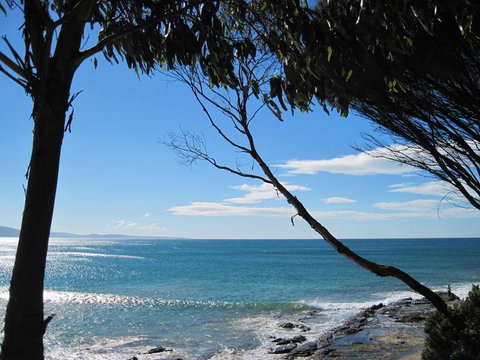 Great Ocean Road Small-Group Ecotour From Melbourne - Attractions Brisbane 4