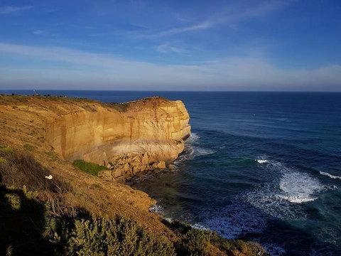 Great Ocean Road Small-Group Ecotour From Melbourne - Attractions Brisbane 9